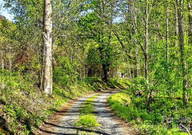 Photo 38 of Land for sale at 488 Cad Campbell Rd, Bakersville, NC 28705 | MLS# 4405321 | Listing updated on 2026-08-21