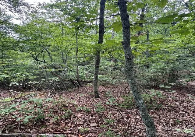 Photo 2 of Land for sale at 0 Raven Blvd, Lake Lure, NC 28746 | MLS# 4405397 | Listing updated on 2026-07-30
