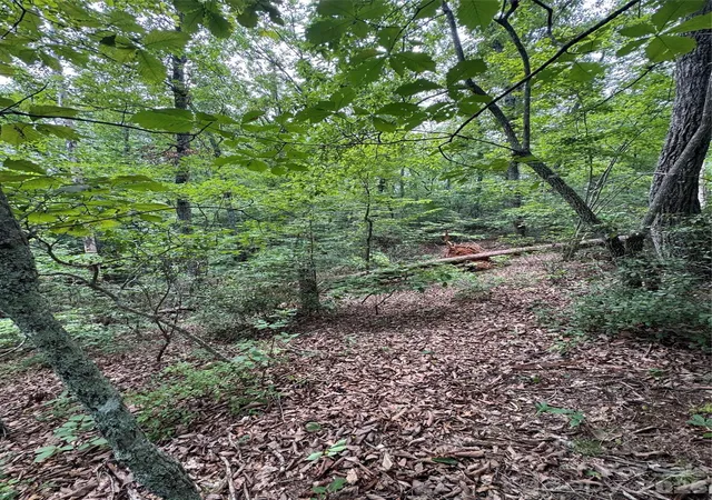 Photo 3 of Land for sale at 0 Raven Blvd, Lake Lure, NC 28746 | MLS# 4405397 | Listing updated on 2026-07-30