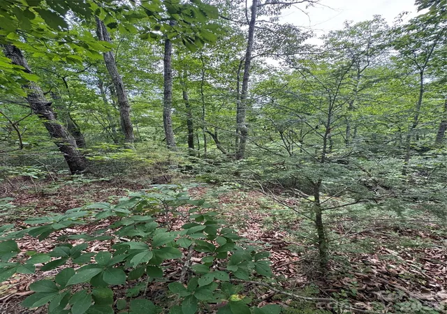 Photo 4 of Land for sale at 0 Raven Blvd, Lake Lure, NC 28746 | MLS# 4405397 | Listing updated on 2026-07-30