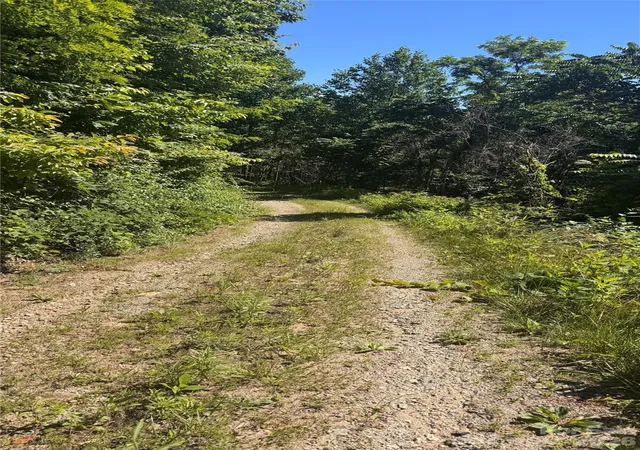 Photo 4 of Land for sale at 1802 Off Sr, Saluda, NC 28773 | MLS# 4405467 | Listing updated on 2026-08-02