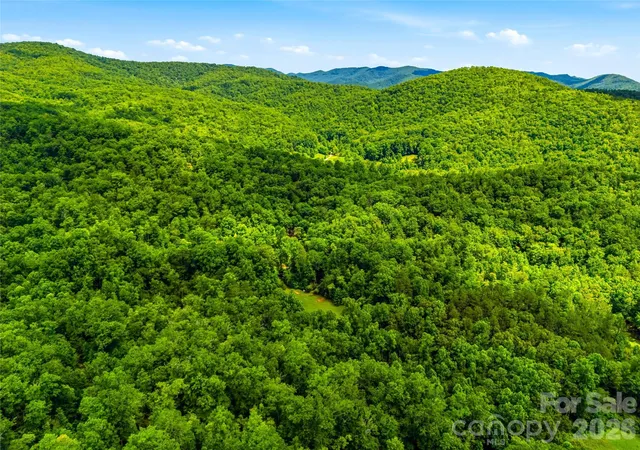3rd image of 45 Watagnee Trl, Horse Shoe, NC 28742 | MLS# 4405494