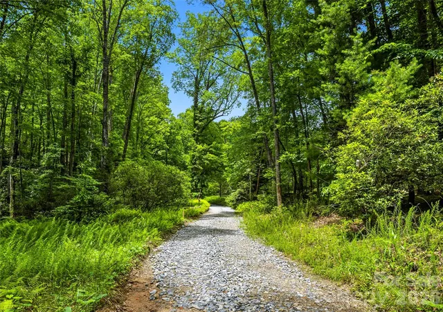 5th image of 45 Watagnee Trl, Horse Shoe, NC 28742 | MLS# 4405494