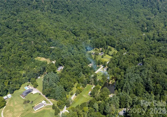 46th image of 360 Pinners Cove Rd, Asheville, NC 28803 | MLS# 4405513
