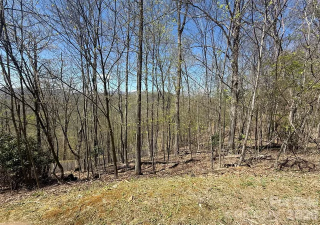 Photo 1 of Land for sale at 24 Elk Mountain Loop, Newland, NC 28657 | MLS# 4405595 | Listing updated on 2026-07-20