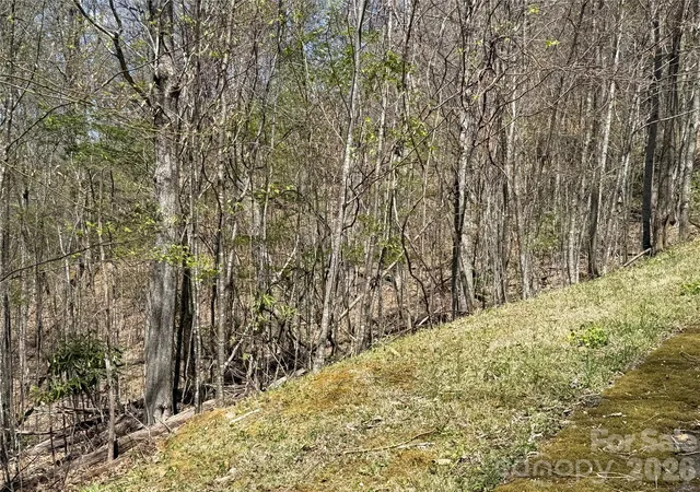 Photo 2 of Land for sale at 24 Elk Mountain Loop, Newland, NC 28657 | MLS# 4405595 | Listing updated on 2026-07-20