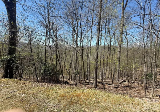 Photo 3 of Land for sale at 24 Elk Mountain Loop, Newland, NC 28657 | MLS# 4405595 | Listing updated on 2026-07-20