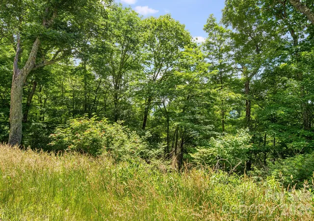 Photo 26 of Land for sale at 10 Buckeye Rd #10, Mars Hill, NC 28754 | MLS# 4405637 | Listing updated on 2026-07-22