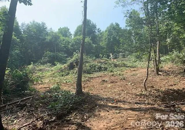 Photo 2 of Land for sale at 1 Old Vashti Rd, Taylorsville, NC 28681 | MLS# 4405655 | Listing updated on 2026-07-20