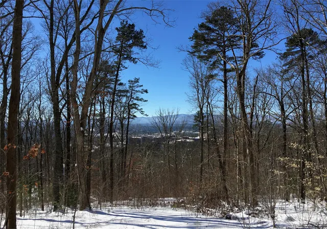 Photo 1 of Land for sale at 28 Samuel Ashe Dr, Asheville, NC 28805 | MLS# 4405660 | Listing updated on 2026-10-08