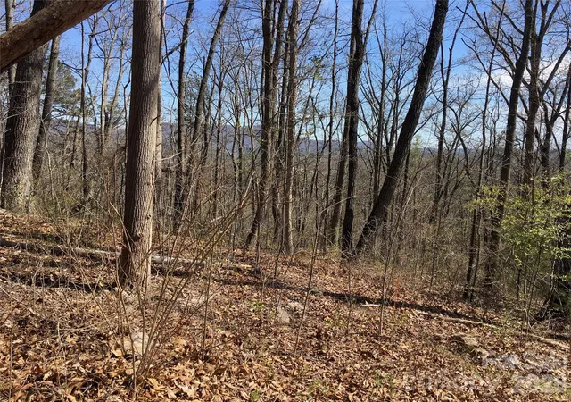 Photo 3 of Land for sale at 28 Samuel Ashe Dr, Asheville, NC 28805 | MLS# 4405660 | Listing updated on 2026-10-08