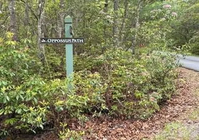 Photo 1 of Land for sale at Fr16 Opossum Path #FR16, Brevard, NC 28712 | MLS# 4405680 | Listing updated on 2026-07-20