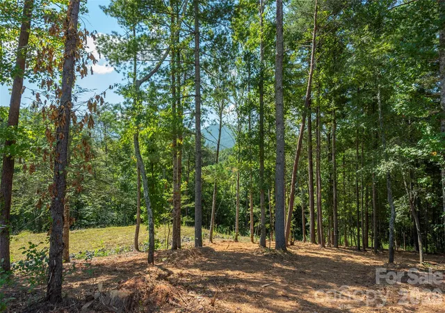 Land for sale at 149 Riverbend Forest Dr #6, Asheville, NC 28805 | MLS# 4405693