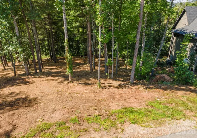 Photo 2 of Land for sale at 149 Riverbend Forest Dr #6, Asheville, NC 28805 | MLS# 4405693 | Listing updated on 2026-09-30