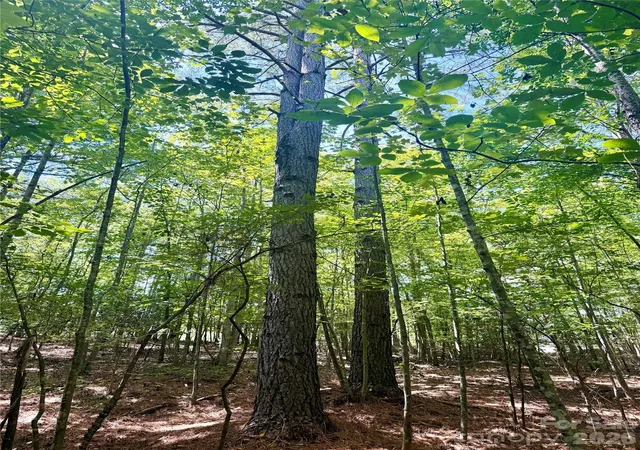 Photo 14 of Land for sale at 283 Rivercliff Dr, Stony Point, NC 28678 | MLS# 4405702 | Listing updated on 2026-08-07