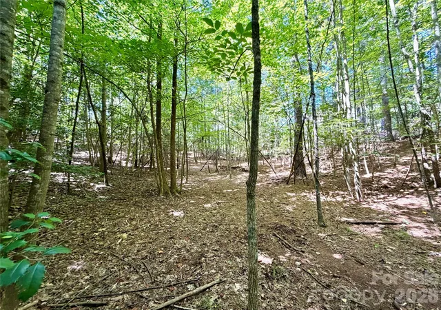 Photo 3 of Land for sale at 283 Rivercliff Dr, Stony Point, NC 28678 | MLS# 4405702 | Listing updated on 2026-08-07