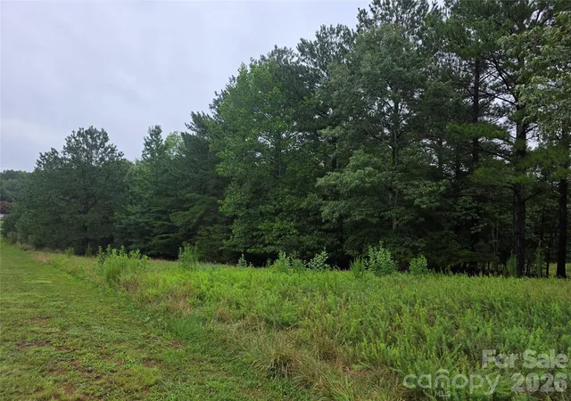 Photo 4 of Land for sale at 283 Rivercliff Dr, Stony Point, NC 28678 | MLS# 4405702 | Listing updated on 2026-08-07