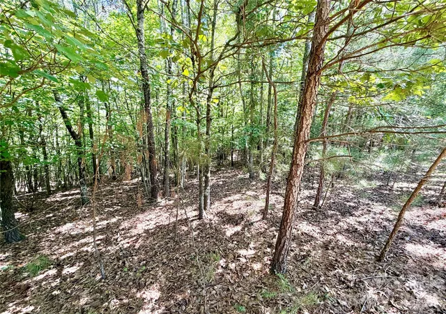 Photo 5 of Land for sale at 283 Rivercliff Dr, Stony Point, NC 28678 | MLS# 4405702 | Listing updated on 2026-08-07