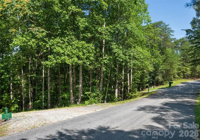 16th image of Lot #13 S Cvs Rd, Mill Spring, NC 28756 | MLS# 4405740