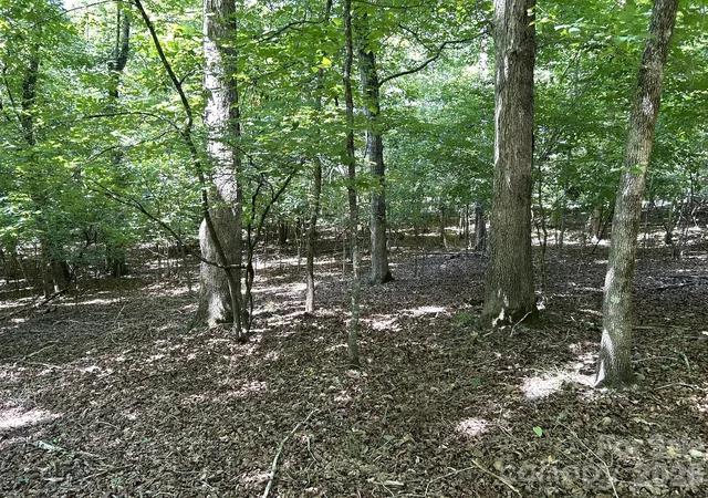 3rd image of 00 River Crst Pkwy #26, Rutherfordton, NC 28139 | MLS# 4405779