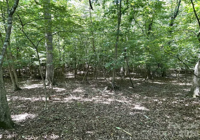 4th image of 00 River Crst Pkwy #26, Rutherfordton, NC 28139 | MLS# 4405779