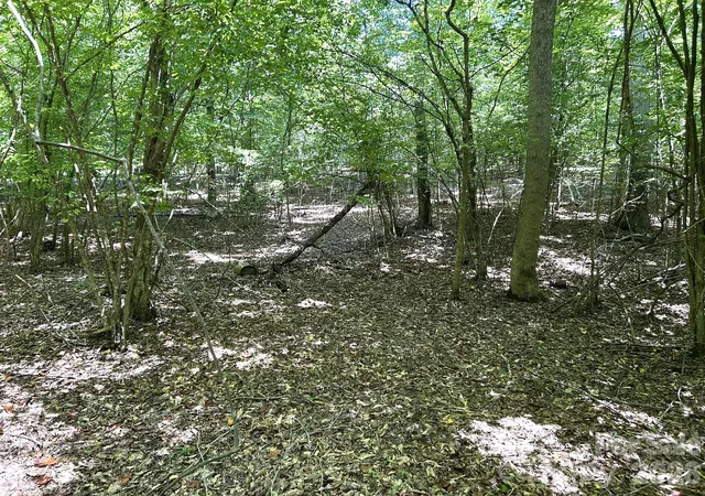 5th image of 00 River Crst Pkwy #26, Rutherfordton, NC 28139 | MLS# 4405779
