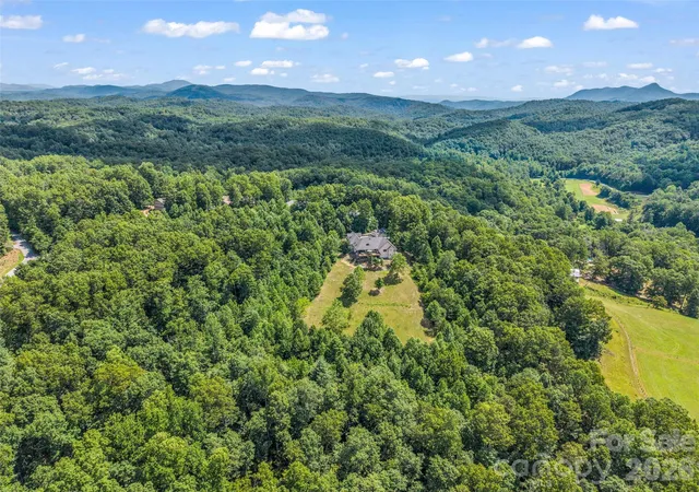 48th image of 930 Big Raven Ln, Saluda, NC 28773 | MLS# 4405808