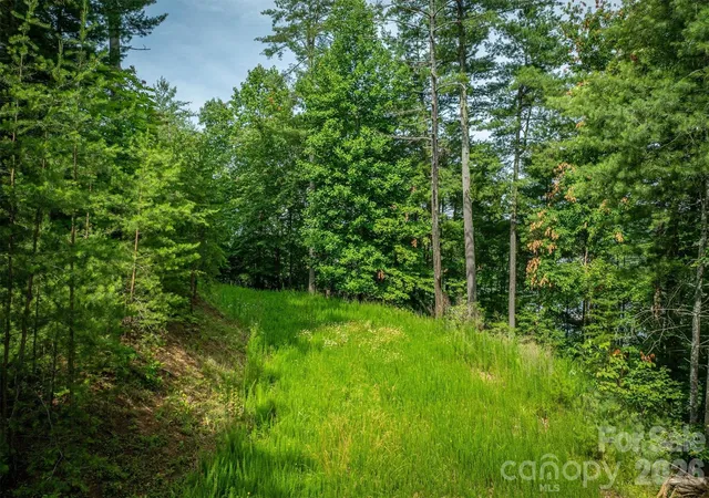 17th image of 802 Marina Dr #3, Nebo, NC 28761 | MLS# 4405889