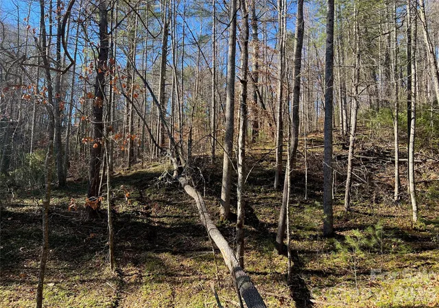 2nd image of 147 Falling Leaves Ln, Hendersonville, NC 28792 | MLS# 4405968