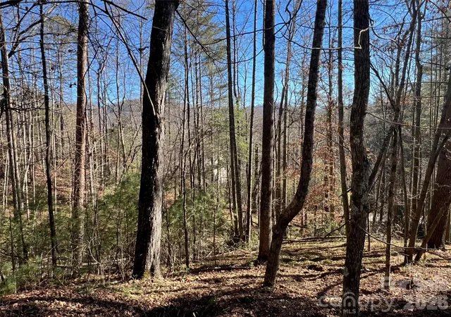 3rd image of 147 Falling Leaves Ln, Hendersonville, NC 28792 | MLS# 4405968
