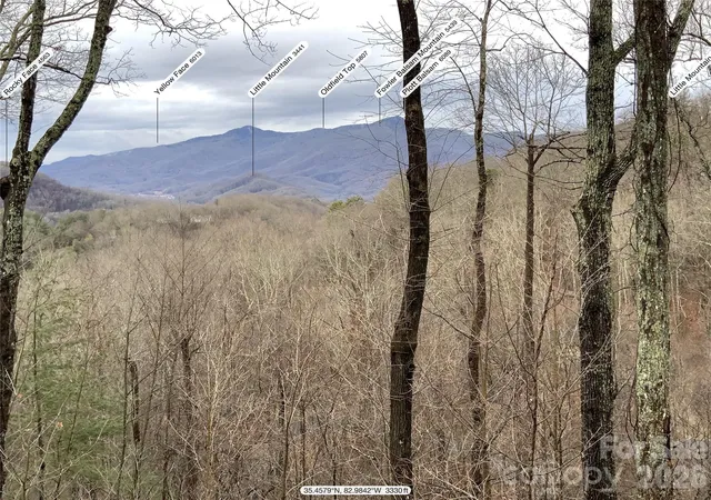 46th image of 394 Hickory Dr, Waynesville, NC 28786 | MLS# 4405975