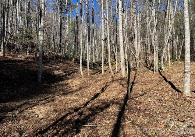 2nd image of 181 Falling Leaves Ln, Hendersonville, NC 28792 | MLS# 4406021