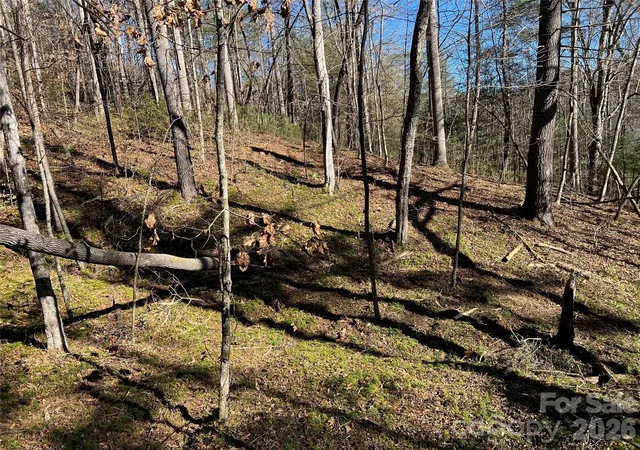 3rd image of 181 Falling Leaves Ln, Hendersonville, NC 28792 | MLS# 4406021