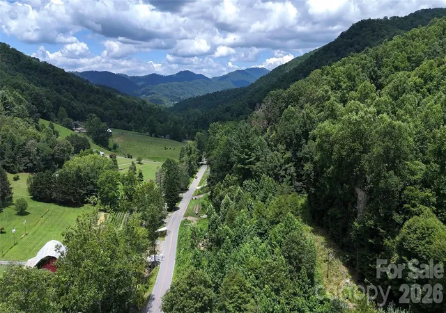2nd image of Tbd Paint Fork Rd, Barnardsville, NC 28709 | MLS# 4406038