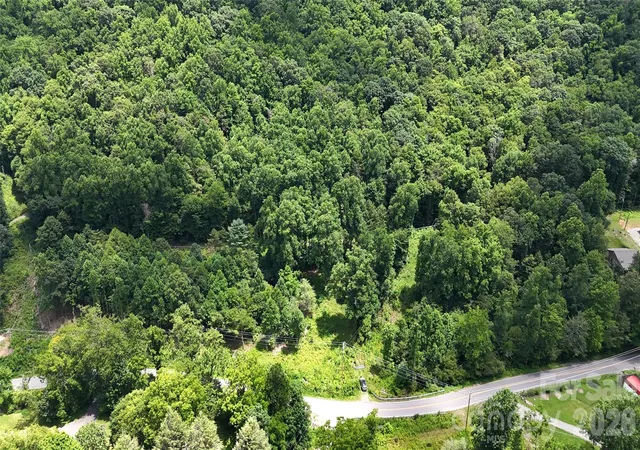 3rd image of Tbd Paint Fork Rd, Barnardsville, NC 28709 | MLS# 4406038
