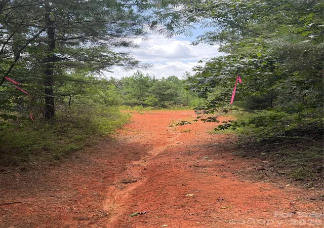 Photo 2 of Land for sale at Tbd Sam Walker Rd, Catawba, SC 29704 | MLS# 4406055 | Listing updated on 2026-08-31