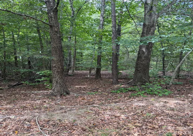 Photo 4 of Land for sale at Tbd Sam Walker Rd, Catawba, SC 29704 | MLS# 4406055 | Listing updated on 2026-08-31