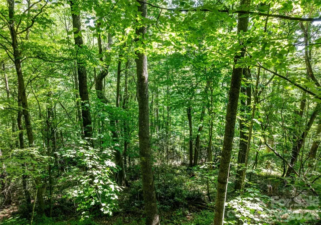 Photo 2 of Land for sale at 8 White Birch Ct #424, Black Mountain, NC 28711 | MLS# 4406070 | Listing updated on 2026-07-25