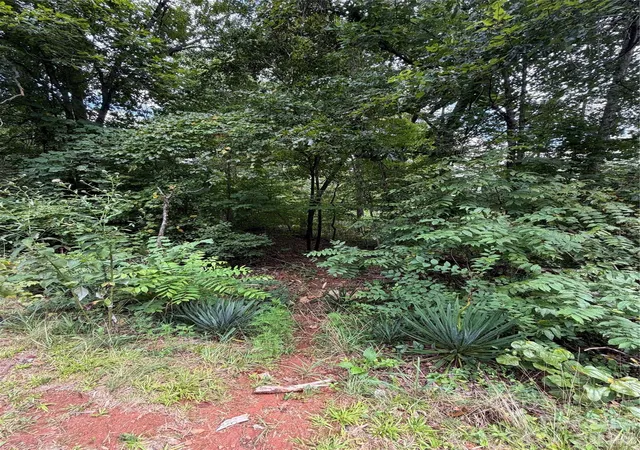Photo 4 of Land for sale at 0 Spindale St, Spindale, NC 28160 | MLS# 4406095 | Listing updated on 2026-08-27