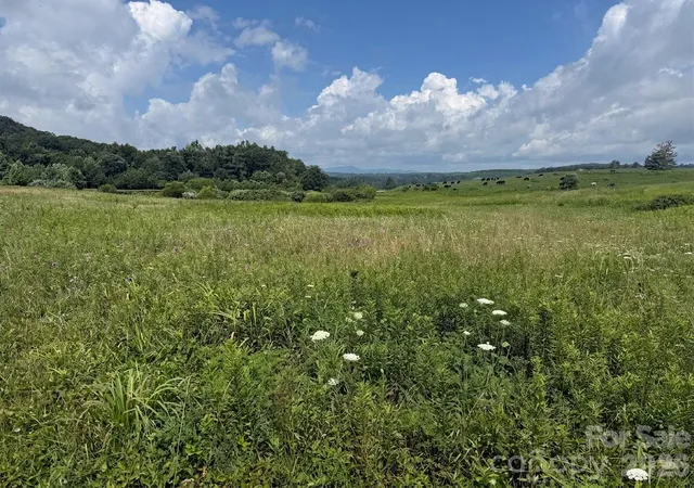 Photo 1 of Land for sale at Tbd Blue Ridge Ests, Ennice, NC 28623 | MLS# 4406115 | Listing updated on 2026-07-21