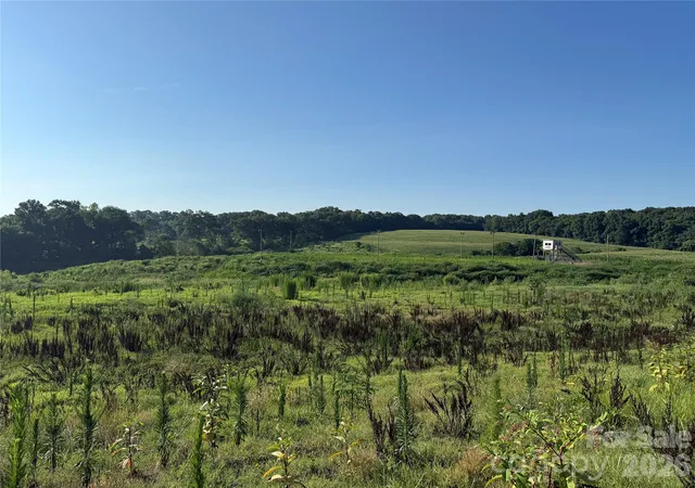 Photo 3 of Land for sale at 1611 Olive Branch Rd, Polkton, NC 28135 | MLS# 4406160 | Listing updated on 2026-07-24