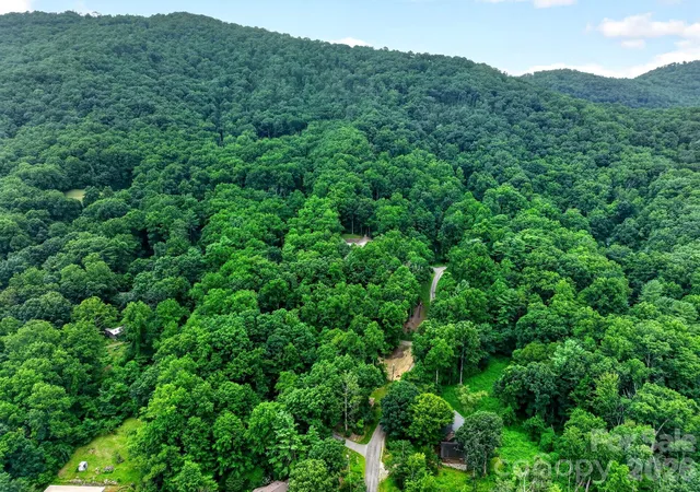 48th image of 12 Beech Tree Ln, Asheville, NC 28804 | MLS# 4406184