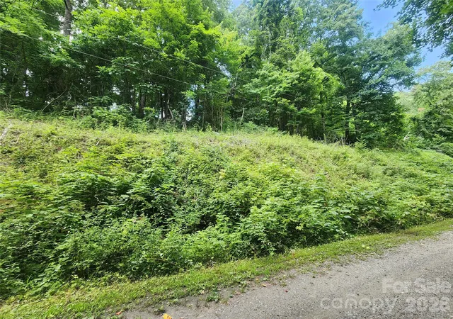1st image of 000 Jacks Knob Rd, Weaverville, NC 28787 | MLS# 4406262