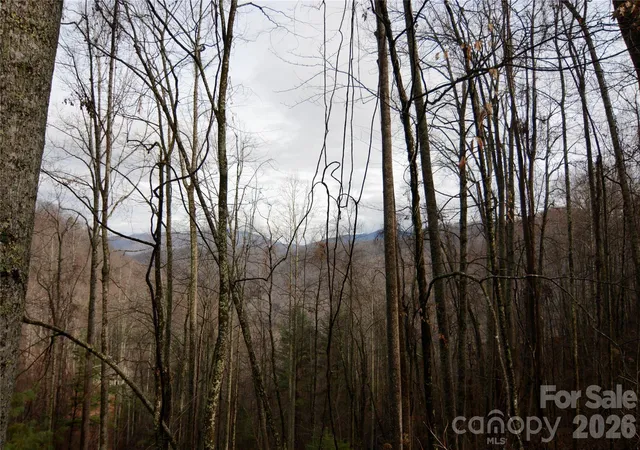 5th image of 000 Jacks Knob Rd, Weaverville, NC 28787 | MLS# 4406262