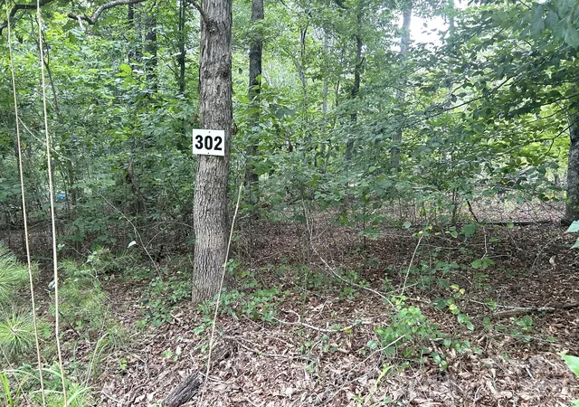 Photo 1 of Land for sale at 00 Bitteroot Cir #302, Rutherfordton, NC 28139 | MLS# 4406264 | Listing updated on 2026-08-18