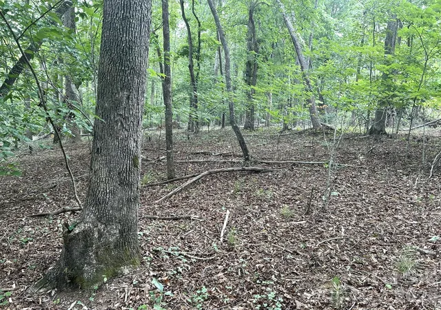 Photo 2 of Land for sale at 00 Bitteroot Cir #302, Rutherfordton, NC 28139 | MLS# 4406264 | Listing updated on 2026-08-18