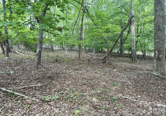 Photo 3 of Land for sale at 00 Bitteroot Cir #302, Rutherfordton, NC 28139 | MLS# 4406264 | Listing updated on 2026-08-18