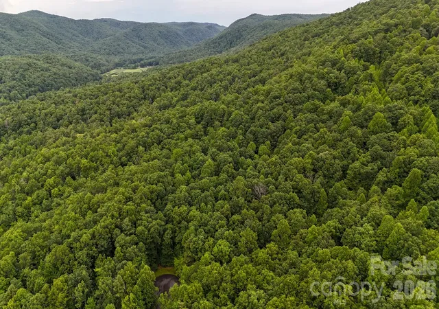 Photo 2 of Land for sale at 364 & 365 Big Bear Trl #23/24, Zirconia, NC 28790 | MLS# 4406296 | Listing updated on 2026-07-21