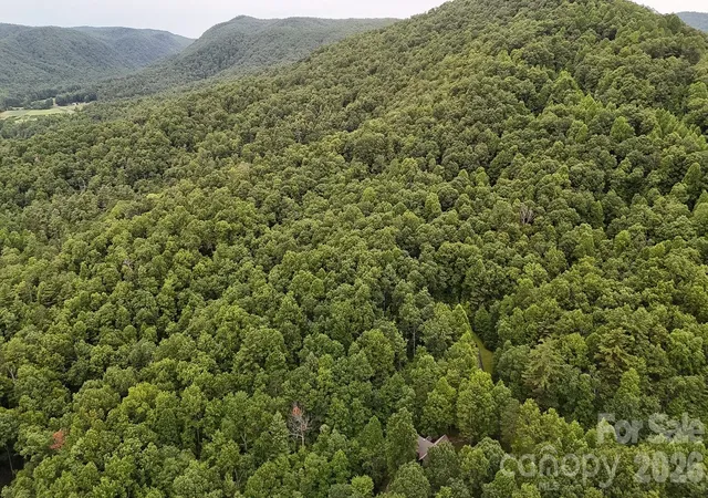 Photo 3 of Land for sale at 364 & 365 Big Bear Trl #23/24, Zirconia, NC 28790 | MLS# 4406296 | Listing updated on 2026-07-21