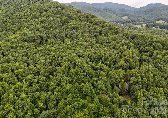 Photo 4 of Land for sale at 364 & 365 Big Bear Trl #23/24, Zirconia, NC 28790 | MLS# 4406296 | Listing updated on 2026-07-21